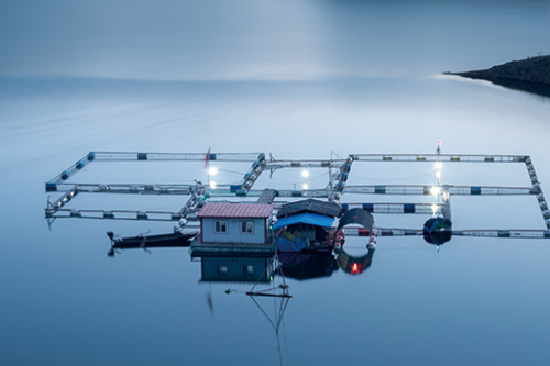壁掛式多參數分析儀MPG-6099-水產養殖 壁掛式多參數分析儀MPG-6099-水產養殖